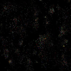 Animation - Rainbow Confetti Explosion