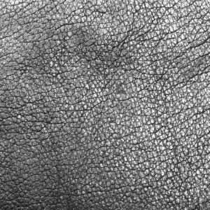 Texture - Leather