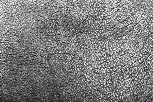 Texture - Leather